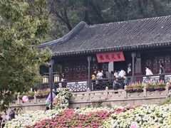-苏州上方山国家森林公园