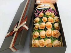 -迪拜乐高乐园