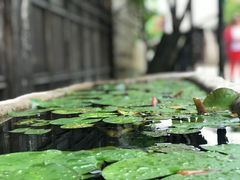 -巡塘古镇