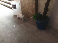 -金石唐风国际温泉会馆