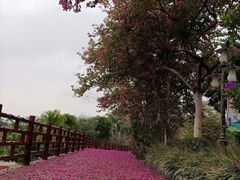-广州莲花山旅游区