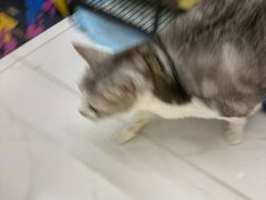 -谜盒子奇幻密室(南屏店)