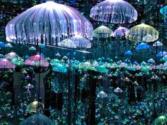 -深圳独角兽星空艺术馆