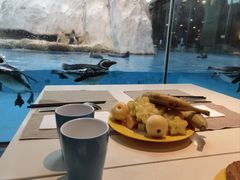 -帝企鹅自助餐厅•儿童岛•真企鹅(长隆企鹅酒店)