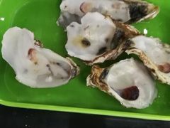 -蚝专家