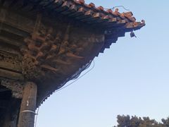 -北陵公园