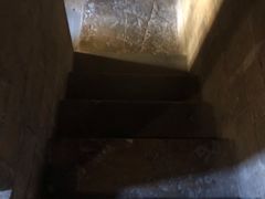 -圣母百花大教堂穹顶