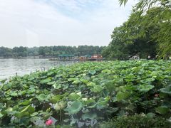 -湖畔居茶楼(湖滨店)