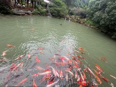 -兰溪地下长河