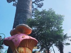 -苏州乐园森林水世界