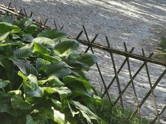 -丰台科技园生态主题公园