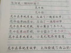 -赵汝飞练字硬笔书法(静安寺校区)