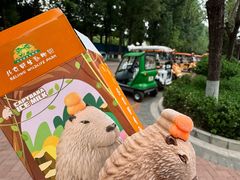 -北京野生动物园