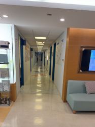 -杭州贝瑞斯美华妇儿医院·早孕·产检·儿科