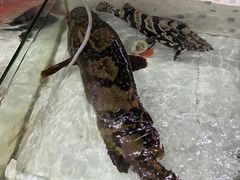 -沙田台山海鲜·酣客酒窖