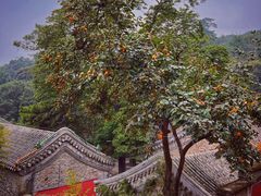 -潭柘寺景区