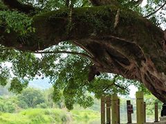 -云水谣景区