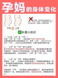 -海豚湾高端月子会所(黄浦店)