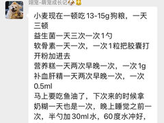 -翊宠yipet猫狗购宠庄园