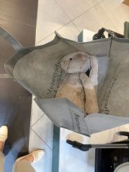 -motherswork(静安嘉里中心店)