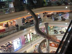 -巴黎春天(浦建店)