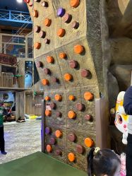 -卡通尼·Safari非洲探索乐园·生日会(金桥国际商业广场店)