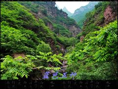 -云岫谷自然风景区
