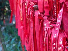 -西双版纳傣族园