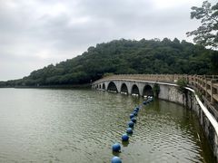 -李小龙乐园(顺德均安店)