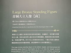 -遇见博物馆(遇见海洋沉浸式奇幻光影展)