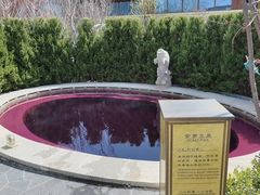 -大连金石滩绿发温泉假日酒店