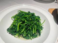 鸡毛菜-许家菜(DT51店)