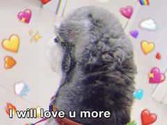 -佳雯宠物医院(金华南路分院)