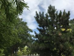 -金宫殿故址