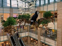 -大族广场Mall&More