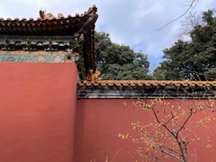 -灵谷景区