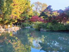 -青枫公园