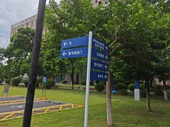 -天鹿湖森林公园