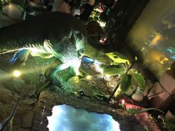 -恐龙探索乐园(磁器口店)