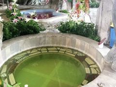 -兴芮温泉度假区