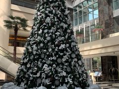 -广州白云机场雅高铂尔曼大酒店