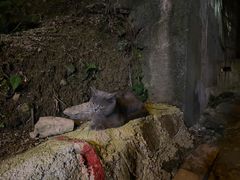 -和福餐馆(西江古街店)