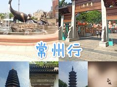 -中华恐龙园
