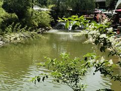 -茯茶镇