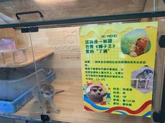 -平行世界·猫咖(首经贸店)