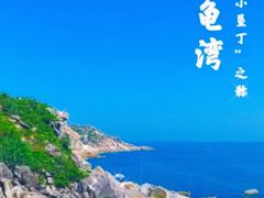 -广东惠东海龟国家级自然保护区