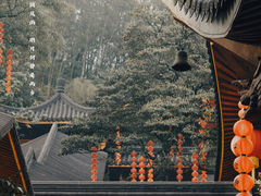 -杭州上天竺法喜讲寺