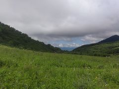 -白草畔自然风景区