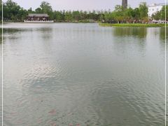 -西海子公园