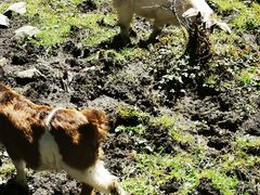 -硗碛藏寨·神木垒景区